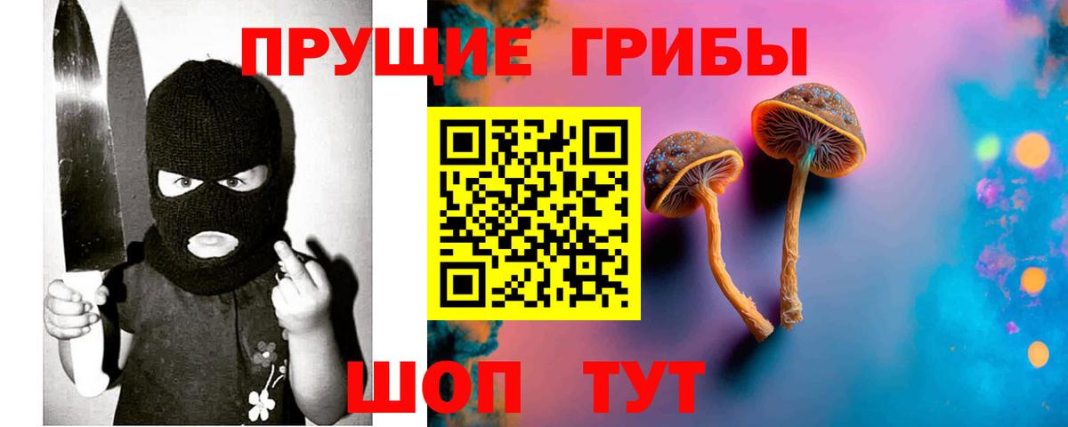Черногорск  Псилоцибиновые грибы мухоморы  Вход с VPN 