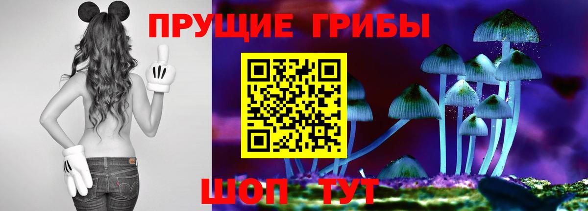 Псилоцибиновые грибы ЛСД Черногорск